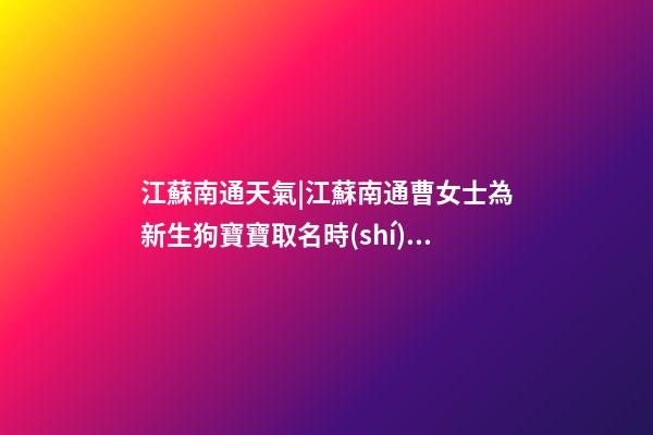 江蘇南通天氣|江蘇南通曹女士為新生狗寶寶取名時(shí)尚型套餐-第1張-公司起名-玄機(jī)派